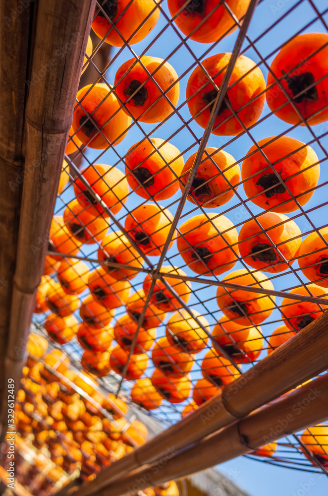 Fototapeta premium dried up persimmon under the sun