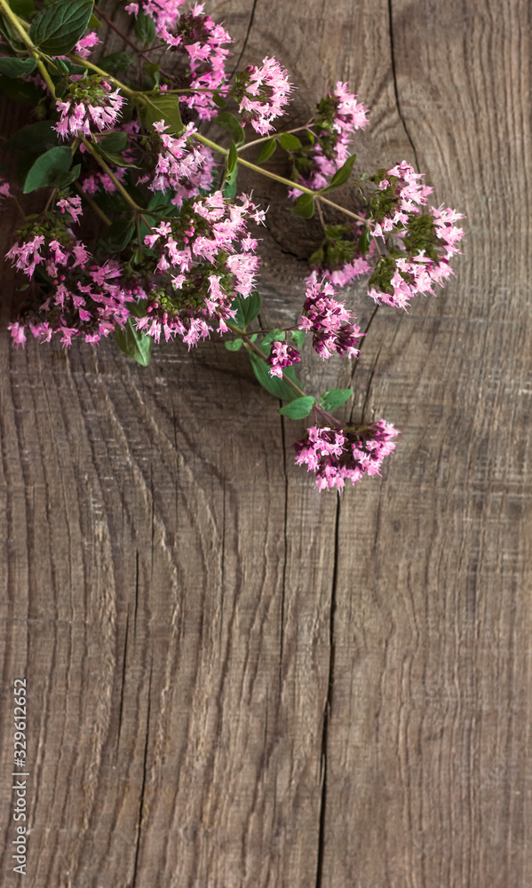 Fototapeta premium fresh flowers of oregano on wooden background for a herbal tea in the winter is good for health