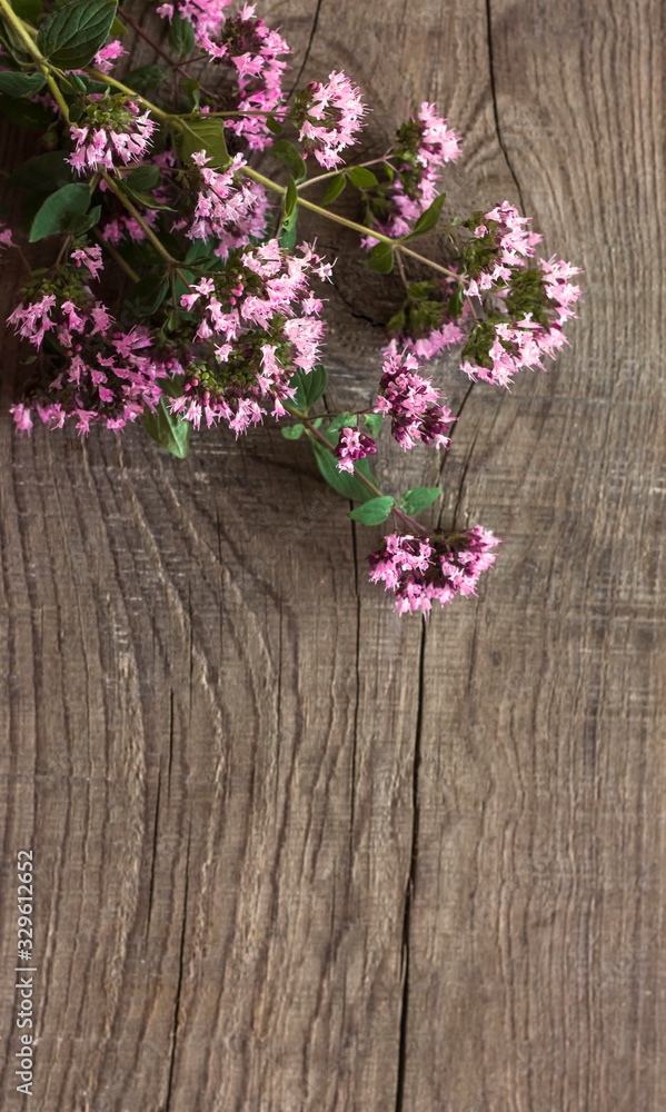 fresh flowers of oregano on wooden background for a herbal tea in the winter is good for health