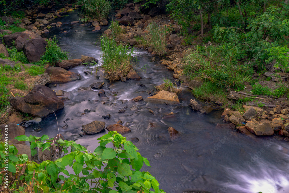 stream in the forest stream in the forest