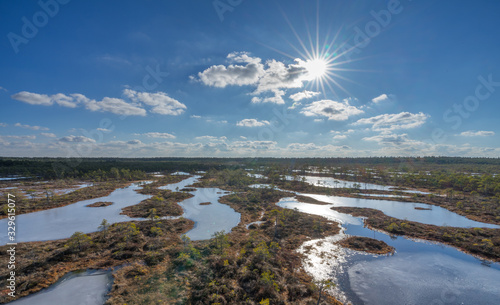 Aerial view, raised bog in early spring, some pools are still frozen, some are already open and reflect the sky and bonsai size pine trees. Bright day, blue sky and white clouds. Endla Nature reserve. photo