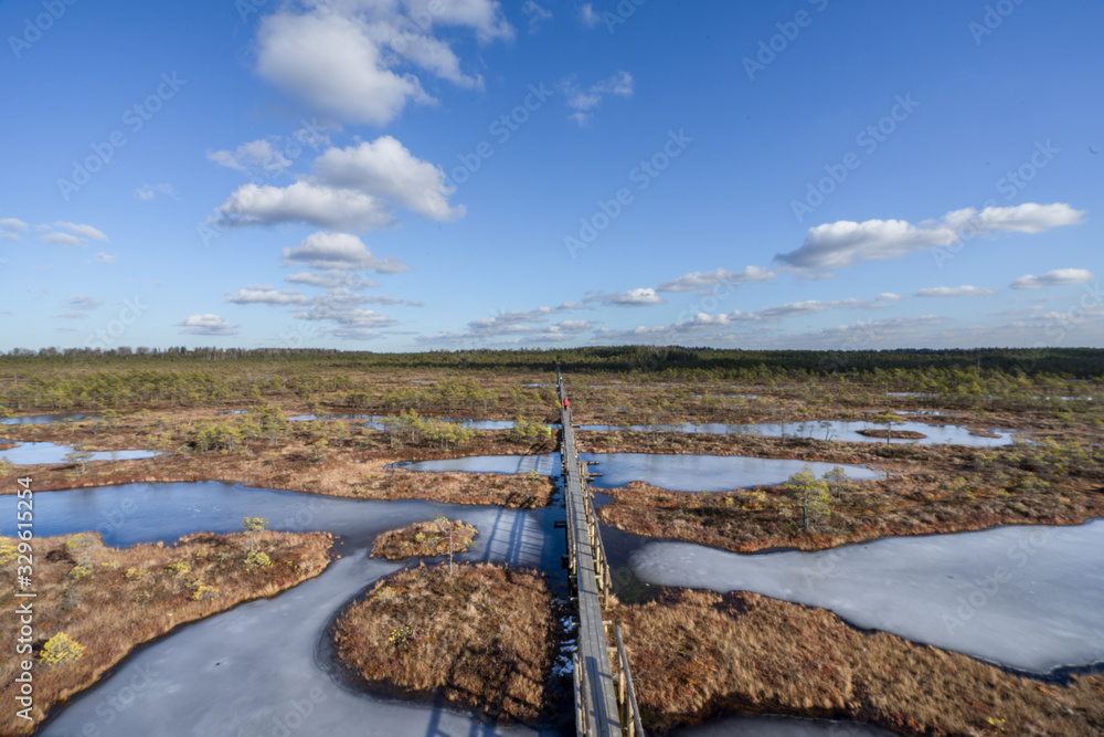 Aerial view, raised bog in early spring, some pools are still frozen, some are already open and reflect the sky and bonsai size pine trees. Bright day, blue sky and white clouds. Endla Nature reserve.