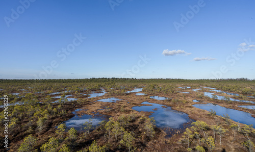 Slika na platnu Aerial view, raised bog in early spring, some pools are still frozen, some are already open and reflect the sky and bonsai size pine trees