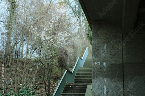 Fototapeta Naklejka Na Ścianę i Meble -  green stairs
