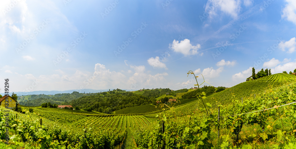 Austria Vineyards vine street south Styria travel spot