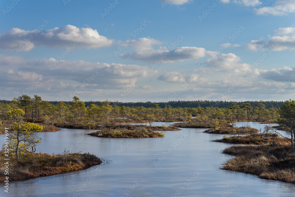 Raised bog in early spring, some pools are still frozen, some are already open and reflect the sky and bonsai size pine trees. Bright day with blue sky and white clouds.