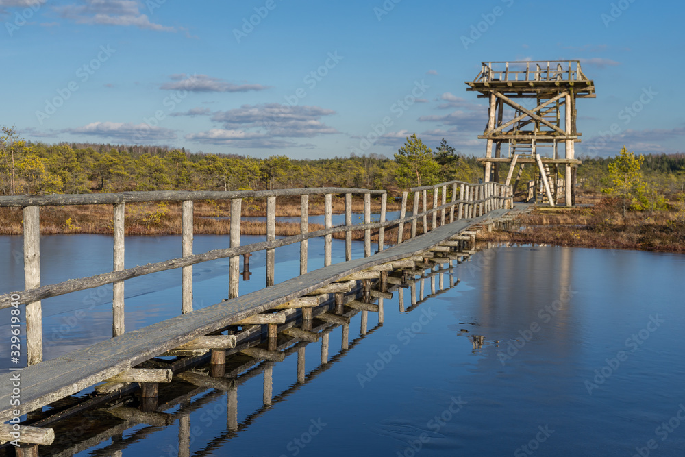 Wooden watch tower and pathway bridge over the lake in raised bog. Early spring, some pools are still frozen,  bonsai size pine trees. Bright day, blue sky and white clouds. Endla Nature reserve.
