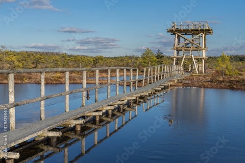 Fototapeta Naklejka Na Ścianę i Meble -  Wooden watch tower and pathway bridge over the lake in raised bog. Early spring, some pools are still frozen,  bonsai size pine trees. Bright day, blue sky and white clouds. Endla Nature reserve.