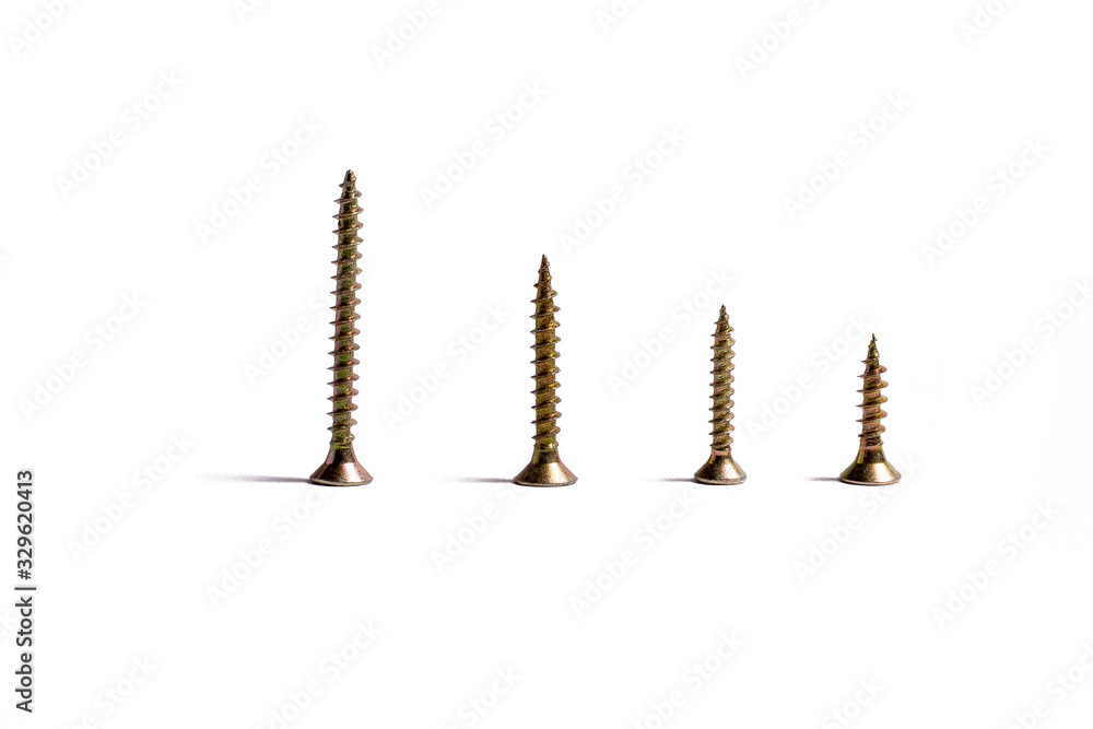 Wood screws on white background Wood screws on white background