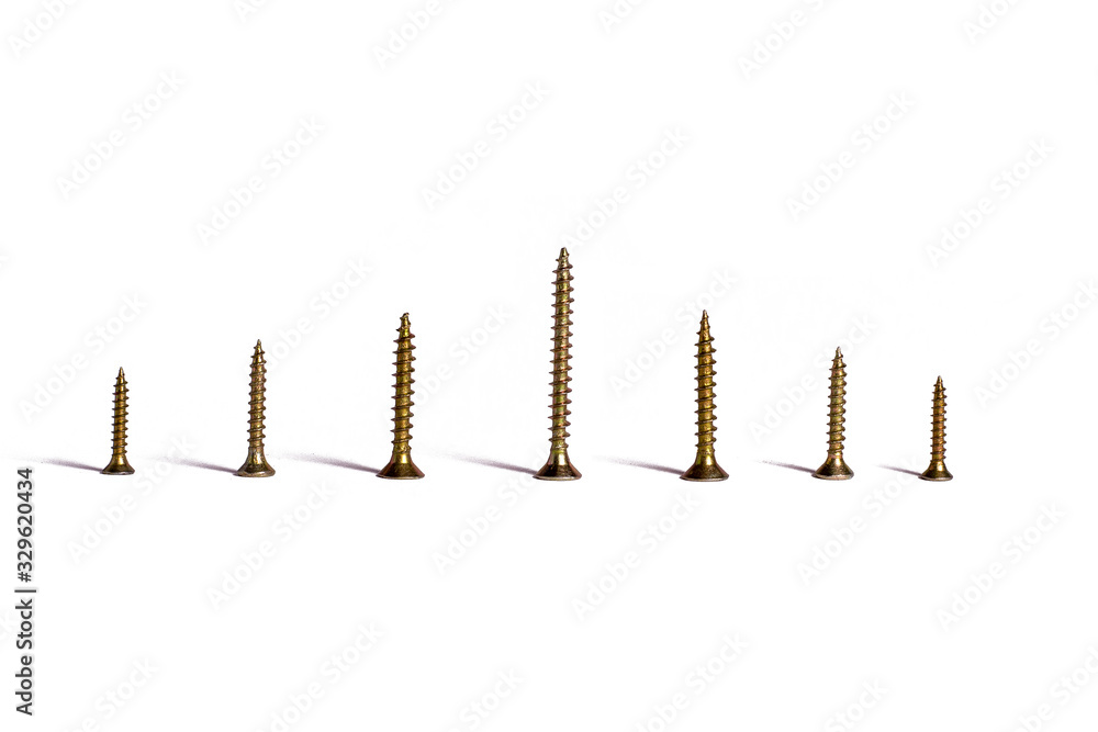 Wood screws on white background Wood screws on white background