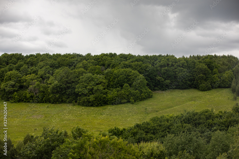 Fototapeta premium thunderstorm sky landscape with green hill and tree forest 
