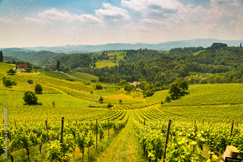 Austria Vineyards vine street south Styria travel spot © Przemyslaw Iciak