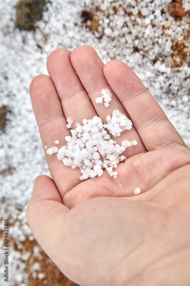Graupel, snow pellets or soft hail in palm on blurred background. Form of precipitation Graupel, snow pellets or soft hail in palm on blurred background. Form of precipitation