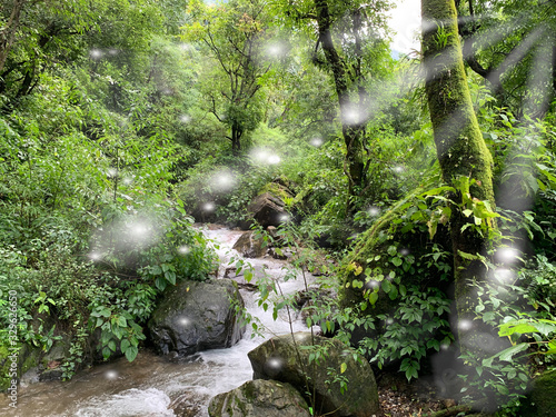 waterfall in forest Dhanaulti Uttarakhand india  photo