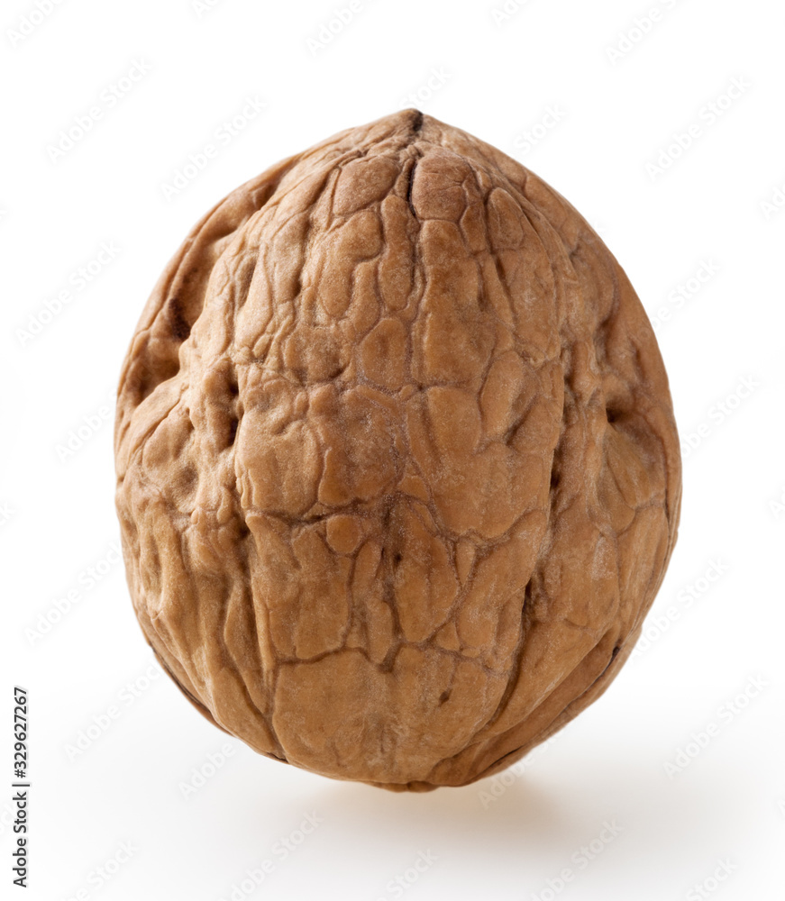 Walnut isolated on white background with clipping path