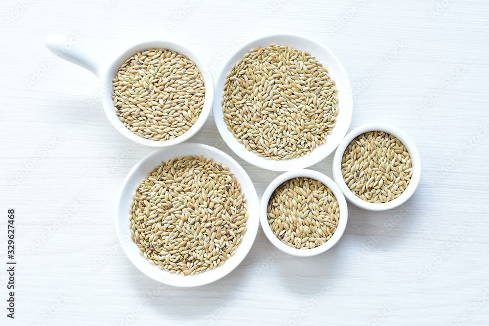 Seed of birdseed, food for birds, displayed in containers on white wooden background Seed of birdseed, food for birds, displayed in containers on white wooden background