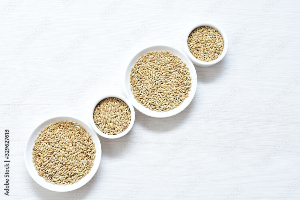 Seed of birdseed, food for birds, displayed in containers on white wooden background Seed of birdseed, food for birds, displayed in containers on white wooden background