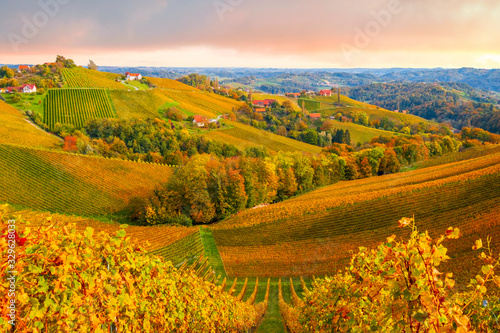 Famous wine region in beautiful autumn colors, wonderful vineyards near Maribor, close to the Austrian border