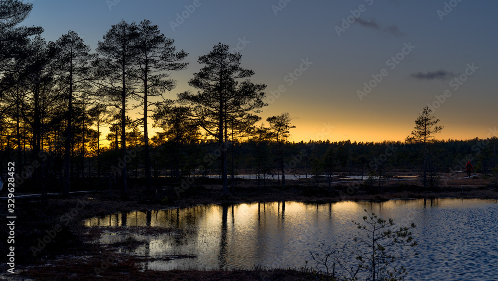 Sunset in Suursoo raised bog. Sun is falling behind the horizon and creating amazing colors in the sky and land. Bog lakes with orange shades. Winter evening in protected landscape in Estonia.
