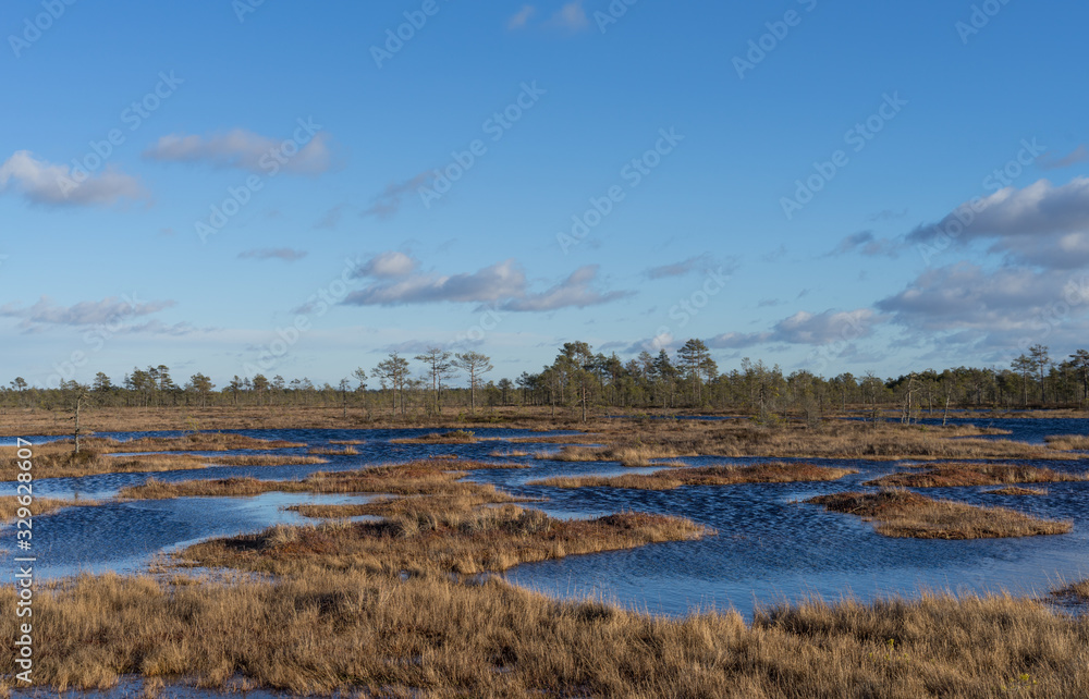 Sunset in Suursoo raised bog. Sun is falling behind the horizon and creating amazing colors in the sky and land. Bog lakes with orange and pink shades. Winter evening in protected landscape in Estonia