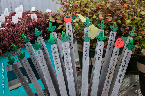 Obraz na plátně Spring planting - Decorative metal herb and tomato and strawberries stakes displ