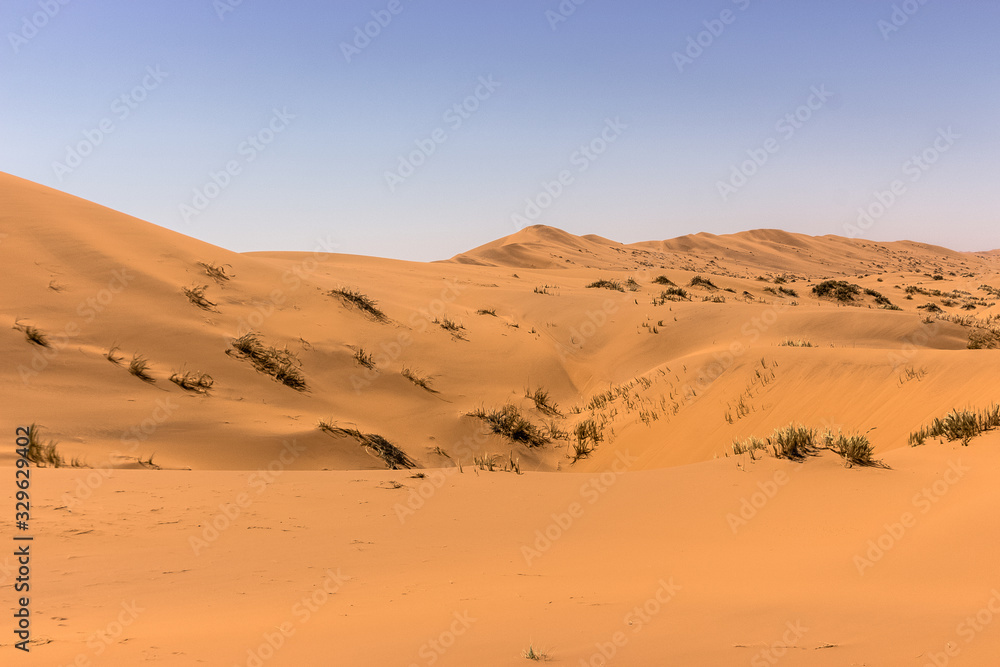 preety desert dunes landscape view