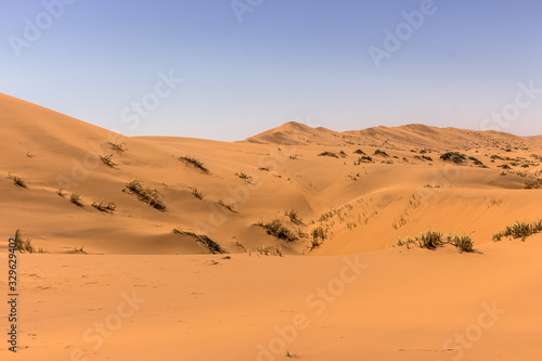 preety desert dunes landscape view