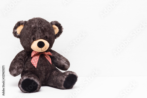 Teddy bear on the white background with copy space.