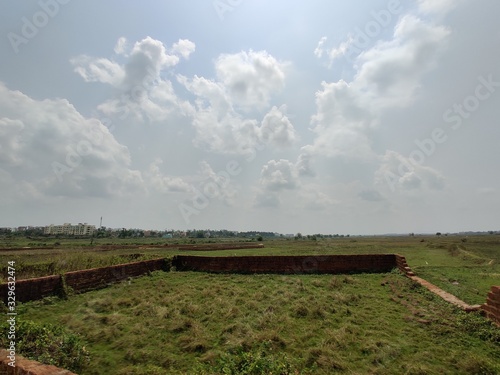 rural landscape with wheat field and blue sky