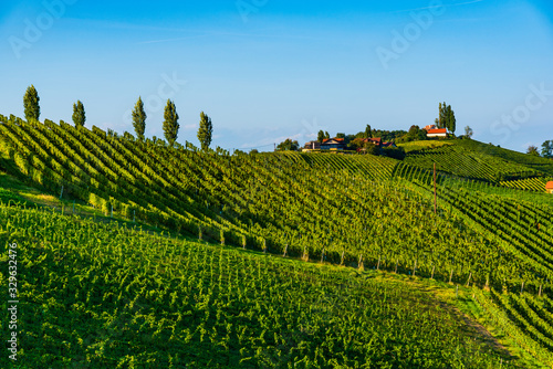 Austria Vineyards Sulztal wine street area south Styria , wine country. Tourist destination