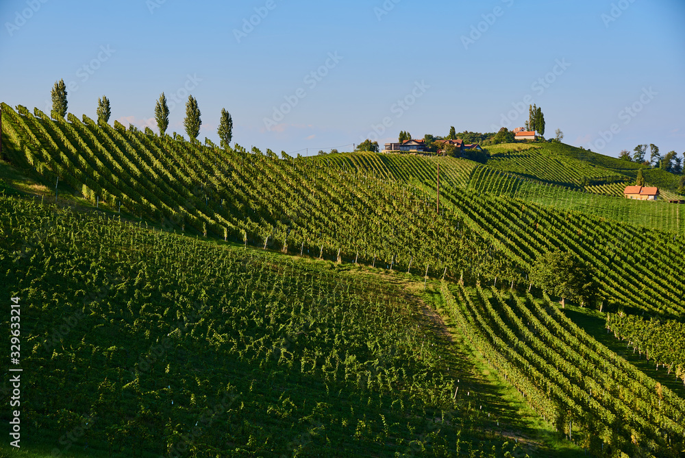 Austria Vineyards hills Sulztal an der Weinstrasse south Styria , wine country