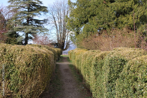 Parc du château de l'échelle dans La Roche sur Foron - ville La Roche sur Foron - Département Haute Savoie - France - Grand espace vert photo