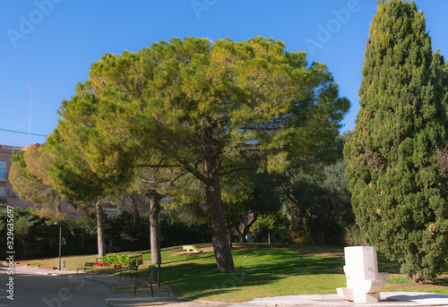 Parque de Benicalap valencia photo