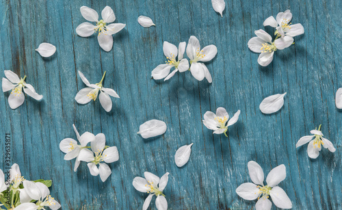 White flowers on blue wooden background
