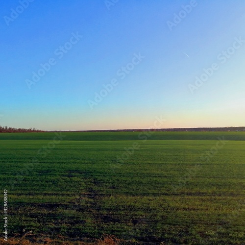 green field and blue sky © Игорь Накоряков