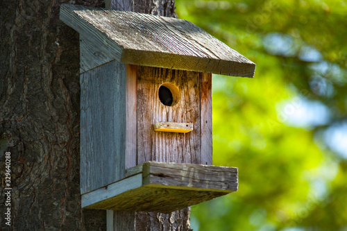 Cute wooden bird house in tree.