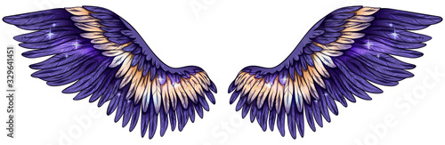 Beautiful gradient glowing shiny violet yellow wings, vector
