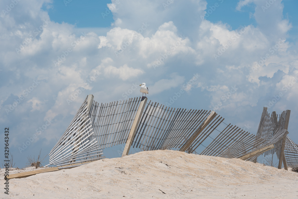 beach fence
