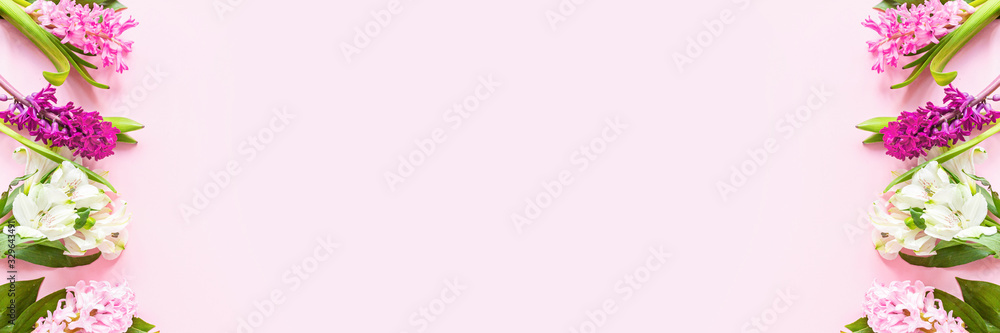 Spring banner with hyacinth flowers on pink pastel background with copy space. Top view, flat lay. Mother's Day or Woman Day Concept