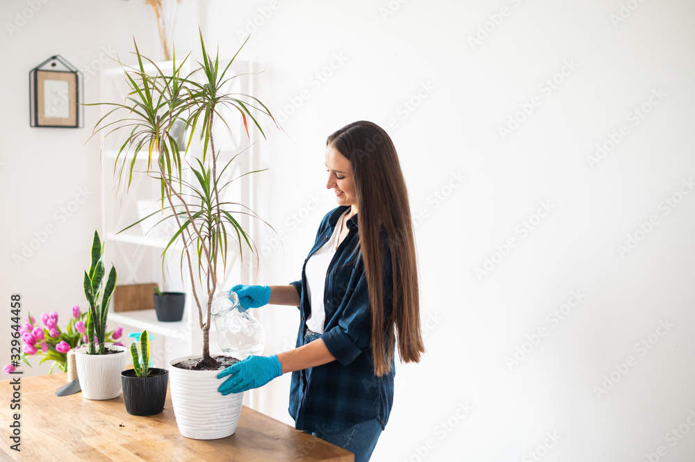 House gardening concept, woman plants houseplants House gardening concept, woman plants houseplants
