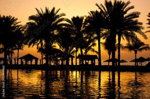 Sunset through the palm trees © Stanislav