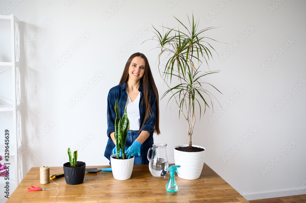 House gardening concept, woman plants houseplants House gardening concept, woman plants houseplants