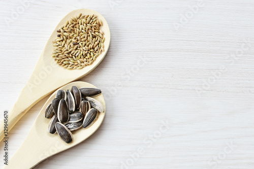 Birdseed and natural sunflower seeds, food for birds, displayed in containers on white wooden background