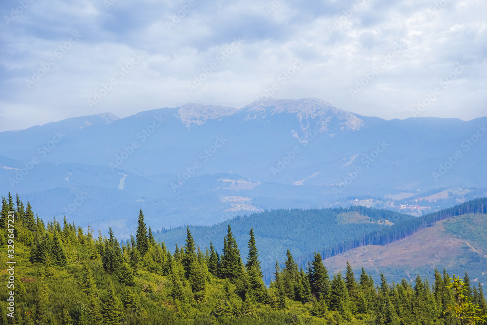 Obraz premium Mountain slope with fir trees on blue mountains background_