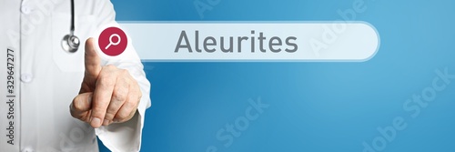 Aleurites. Doctor in smock points with his finger to a search box. The word Aleurites is in focus. Symbol for illness, health, medicine