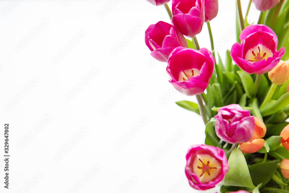 Bouquet of flowers. Tulip on white background. Beautiful flowers for valentines and wedding scene. Valentines and 8 March Mother Women's Day concept.
