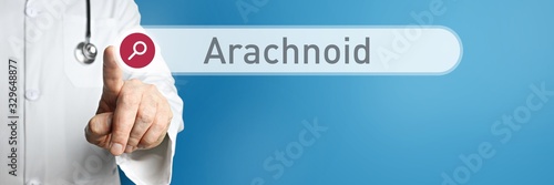 Billede på lærred Arachnoid
