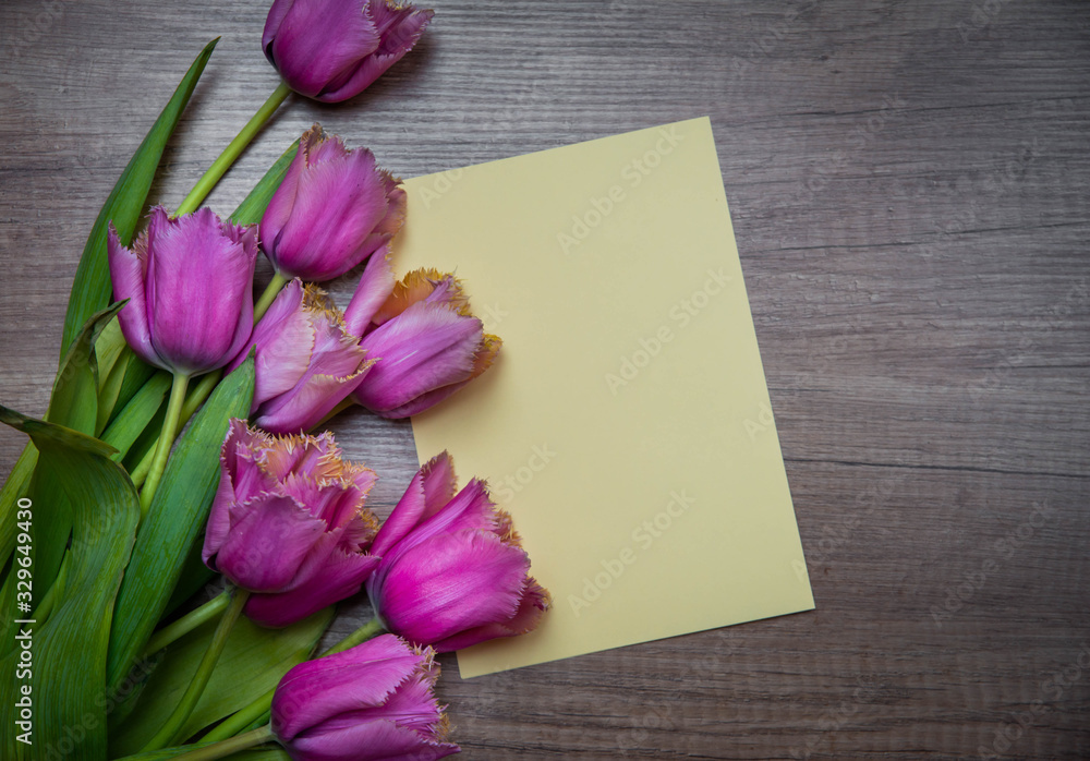 Fototapeta premium Bouquet of colorful tulips in spring holidays as decoration or a gift