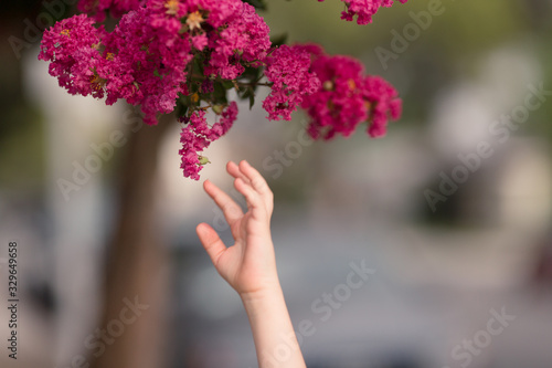 Stop and smell the flowers.