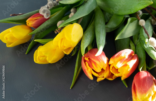 Yellow  yellow-orange two-color tulips and branches of the verba on a dark gray background in a hard light. Spring  Easter concept. Horizontal orientation. View from above. Selective focus.